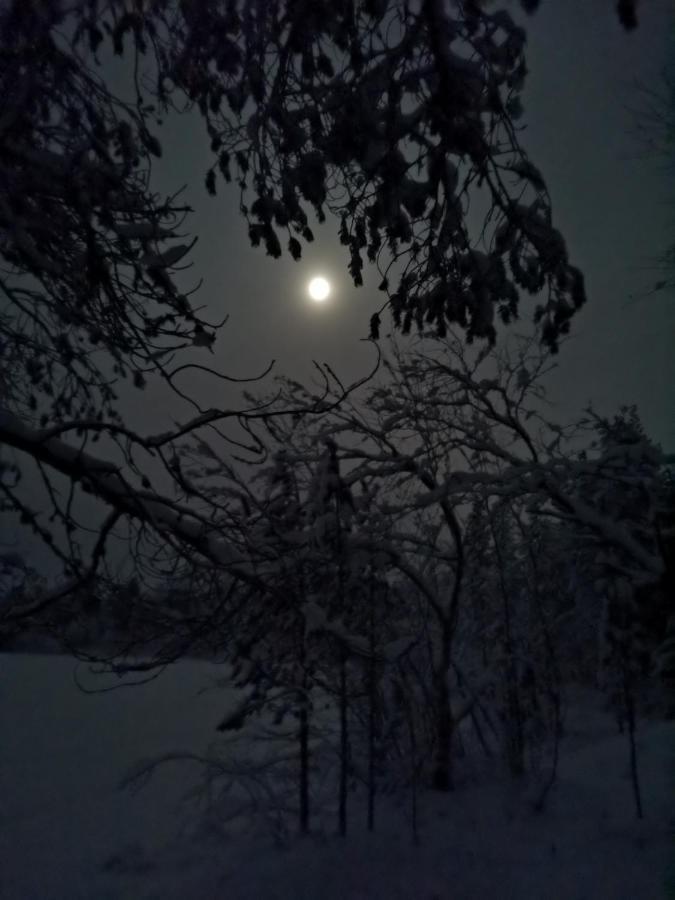 Revontulen Tupa