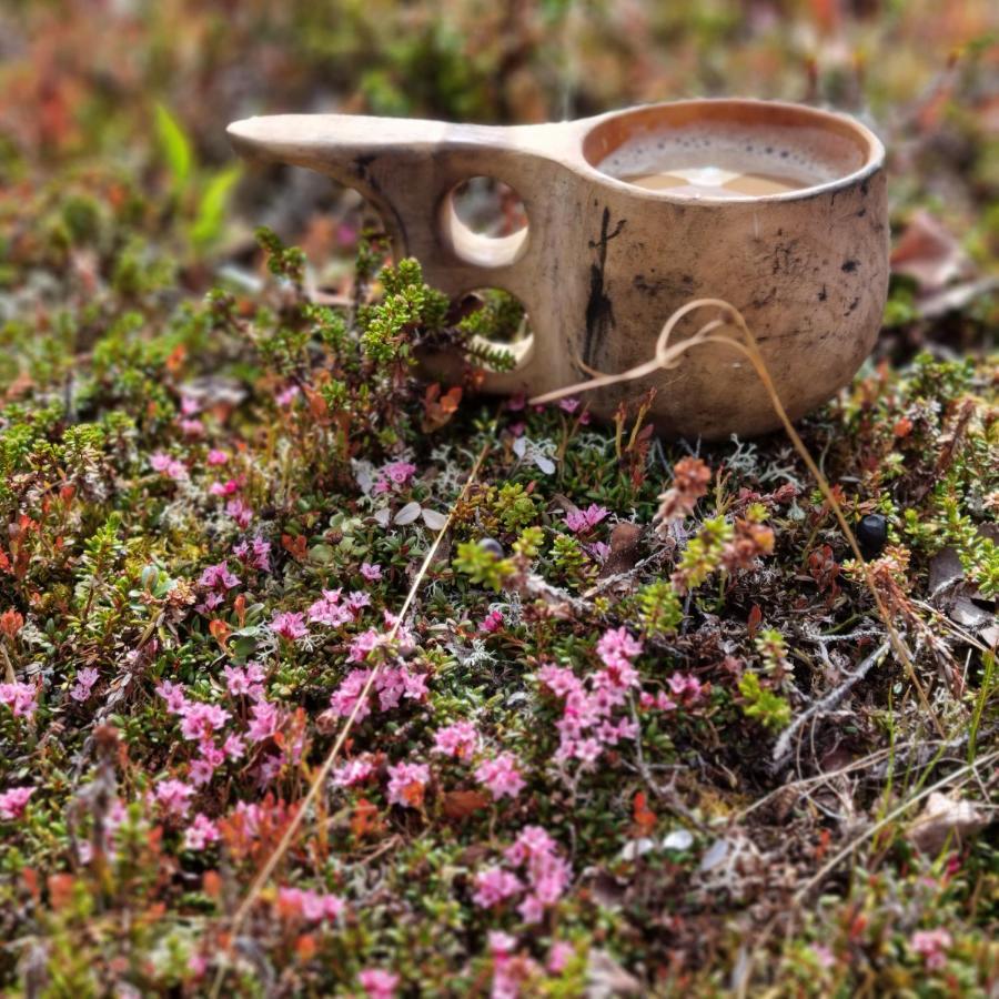 Revontulen Tupa Kaamanen