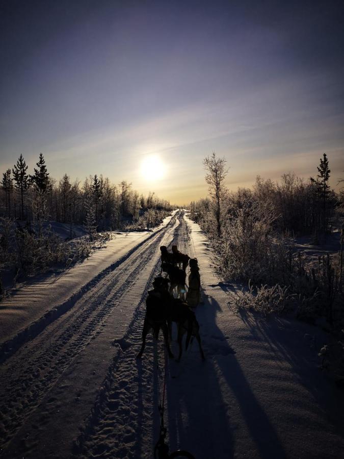 Revontulen Tupa * Kaamanen