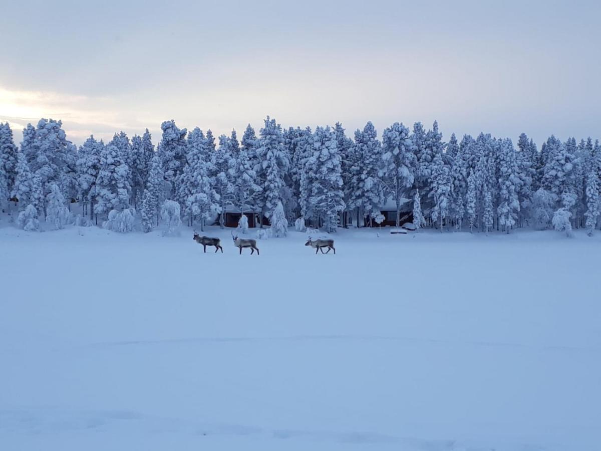 Revontulen Tupa * Kaamanen